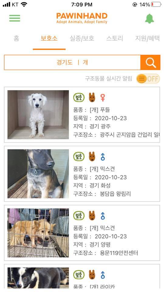 tìm nuôi chó mèo 2