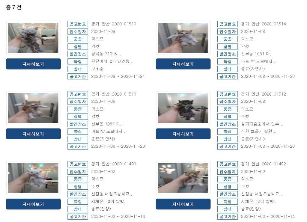 Hình ảnh từ GO-KOREA: 125566379 10214886868405021 5018961704328511382 o