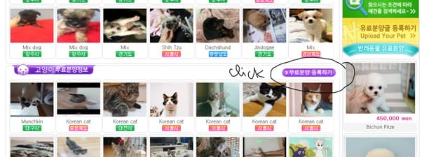 Hình ảnh từ GO-KOREA: 128304228 3788129454551146 8337888551974001961 n