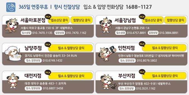 Hình ảnh từ GO-KOREA: 128375270 3788129637884461 4899118828795118883 n