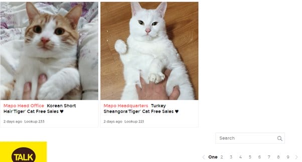 Hình ảnh từ GO-KOREA: 128422964 3788130001217758 6759331147599498163 n