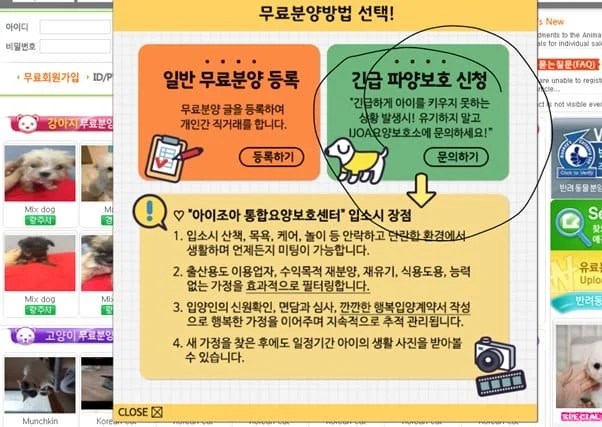 Hình ảnh từ GO-KOREA: 128552241 3788129514551140 2273803432556727711 n