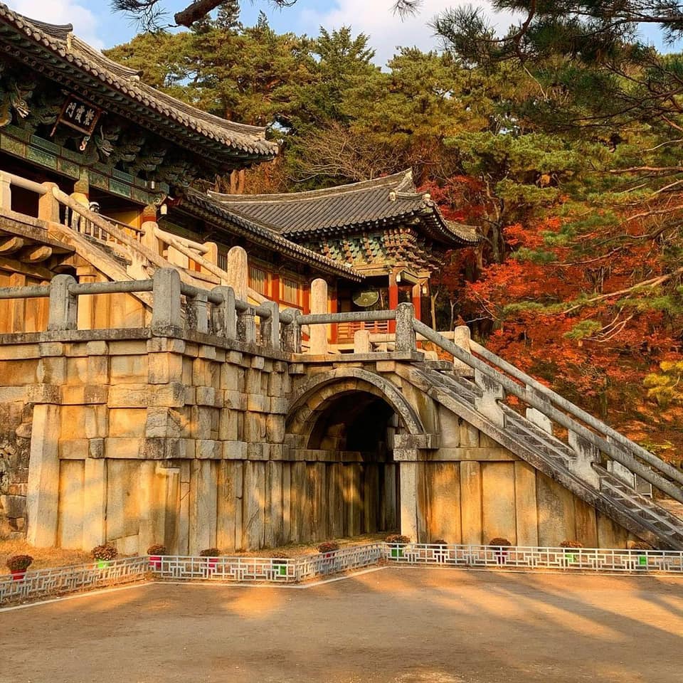 Hình ảnh từ GO-KOREA: 247725567 260606266004859 4182467801171294705 n