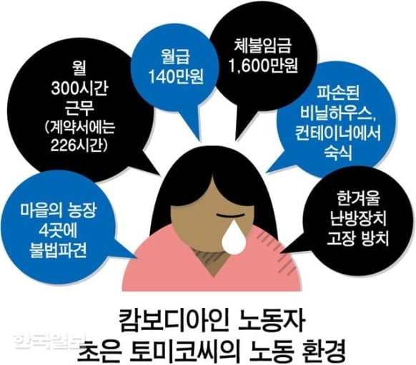 Hình ảnh từ GO-KOREA: 325736056 3462339800645051 2235803405743311692 n