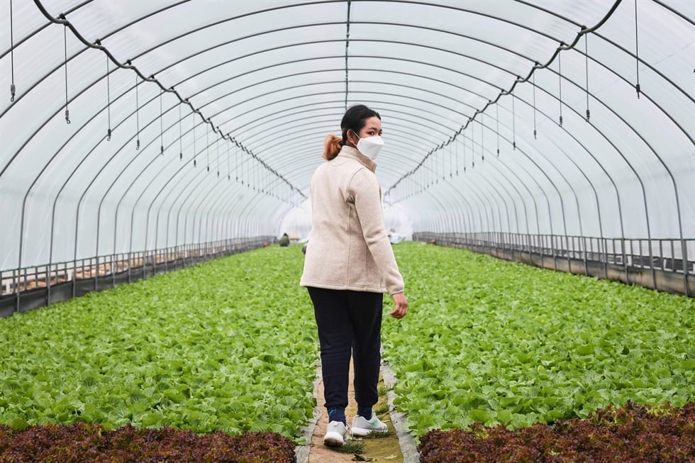 Hình ảnh từ GO-KOREA: 384103a0a835416686105a5eb7f6c3c2