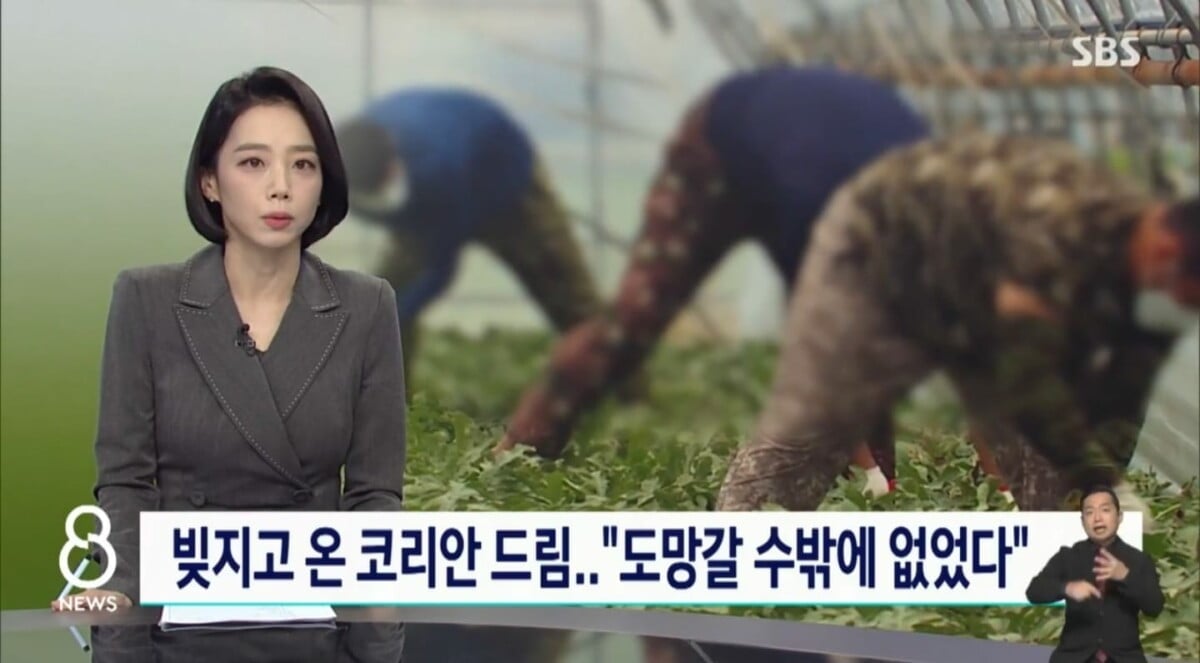 Hình ảnh từ GO-KOREA: 397852485 721581596663871 2927444184083380752 n