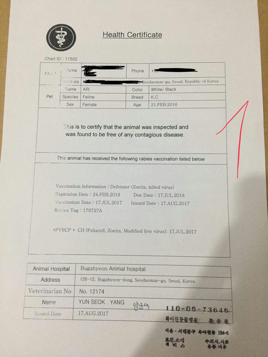 GO-KOREA Thủ tục mang thú cưng về Việt Nam (hoặc ra nước ngoài) 1 chứng nhận sức khoẻ