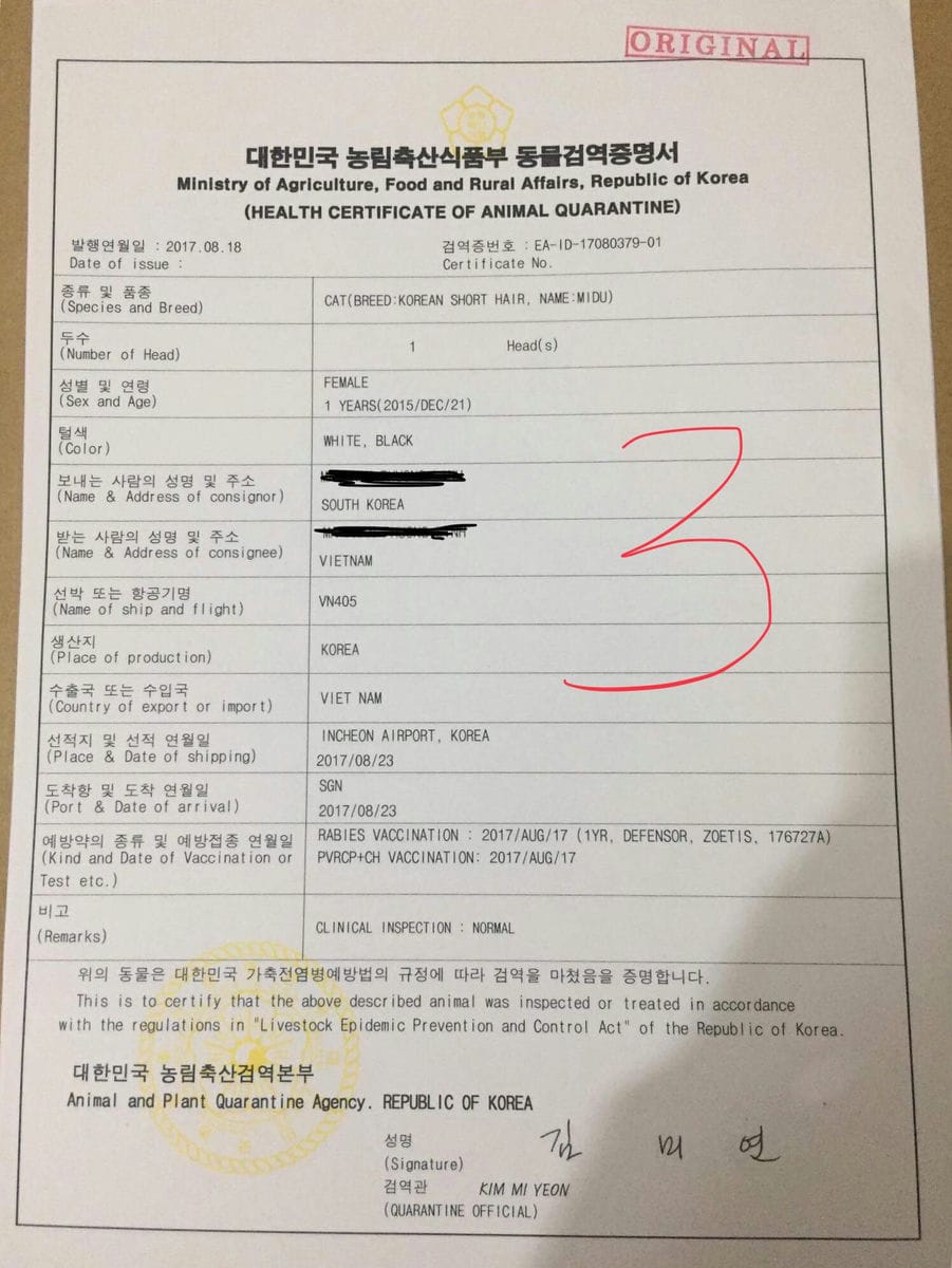 GO-KOREA Thủ tục mang thú cưng về Việt Nam (hoặc ra nước ngoài) 3 Giấy cách ly