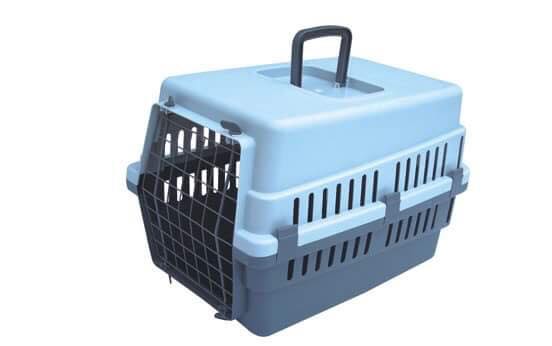 GO-KOREA Thủ tục mang thú cưng về Việt Nam (hoặc ra nước ngoài) 5 Lồng