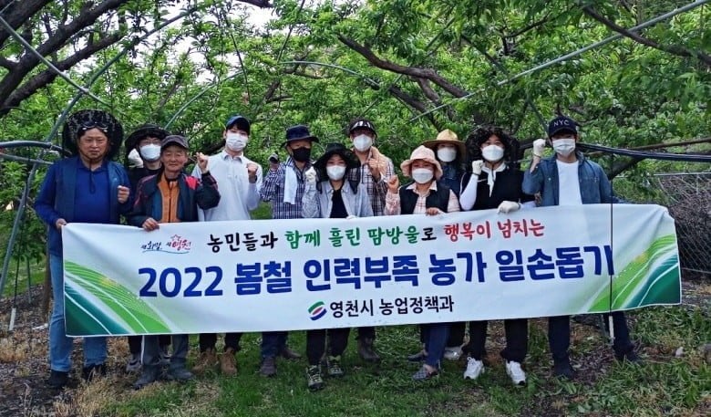 Hình ảnh từ GO-KOREA: image 1 39