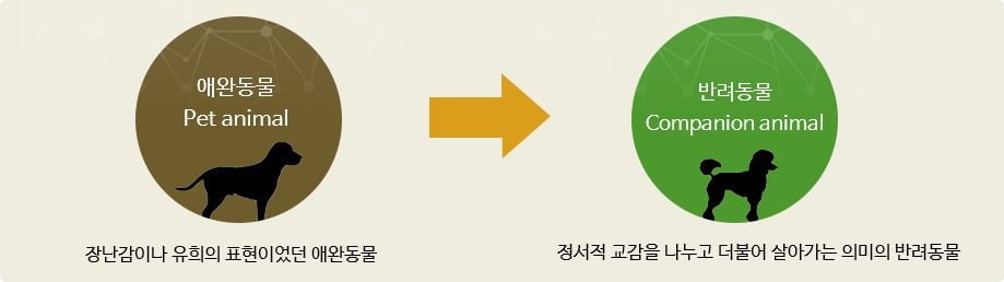 GO-KOREA NGHĨA VỤ VÀ TRÁCH NHIỆM KHI NUÔI THÚ CƯNG: NHỮNG ĐIỀU CẦN BIẾT 1 Hình ảnh từ GO-KOREA: image 42 1