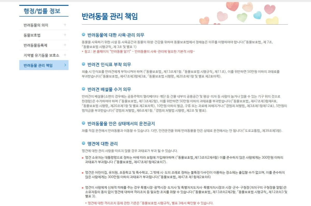 GO-KOREA NGHĨA VỤ VÀ TRÁCH NHIỆM KHI NUÔI THÚ CƯNG: NHỮNG ĐIỀU CẦN BIẾT 3 Hình ảnh từ GO-KOREA: image 42 2