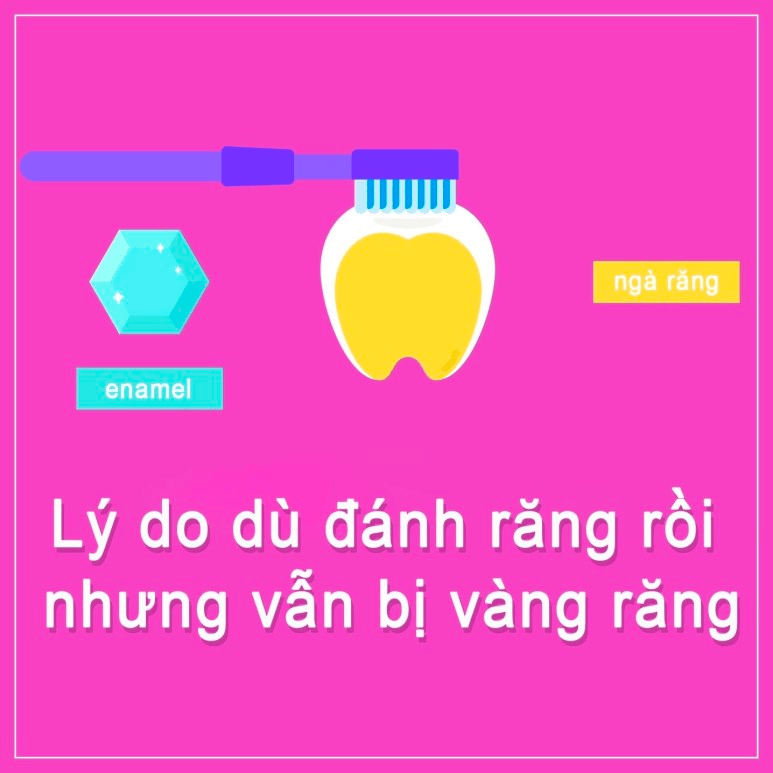 Hình ảnh từ GO-KOREA: image 65