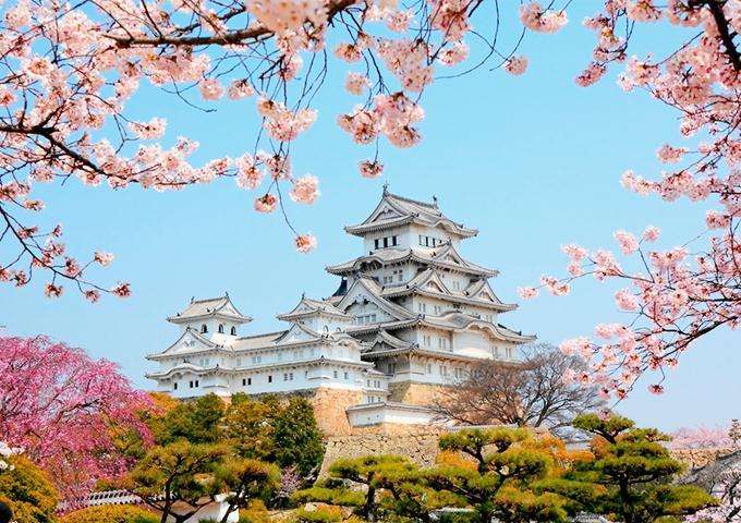 GO-KOREA Cách đi tàu từ Hàn sang Nhật 1 di-tau-tu-Han-sang-Nhat-1